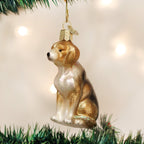 Old World Christmas Blown Beagle Ornament - Che Cose Belle