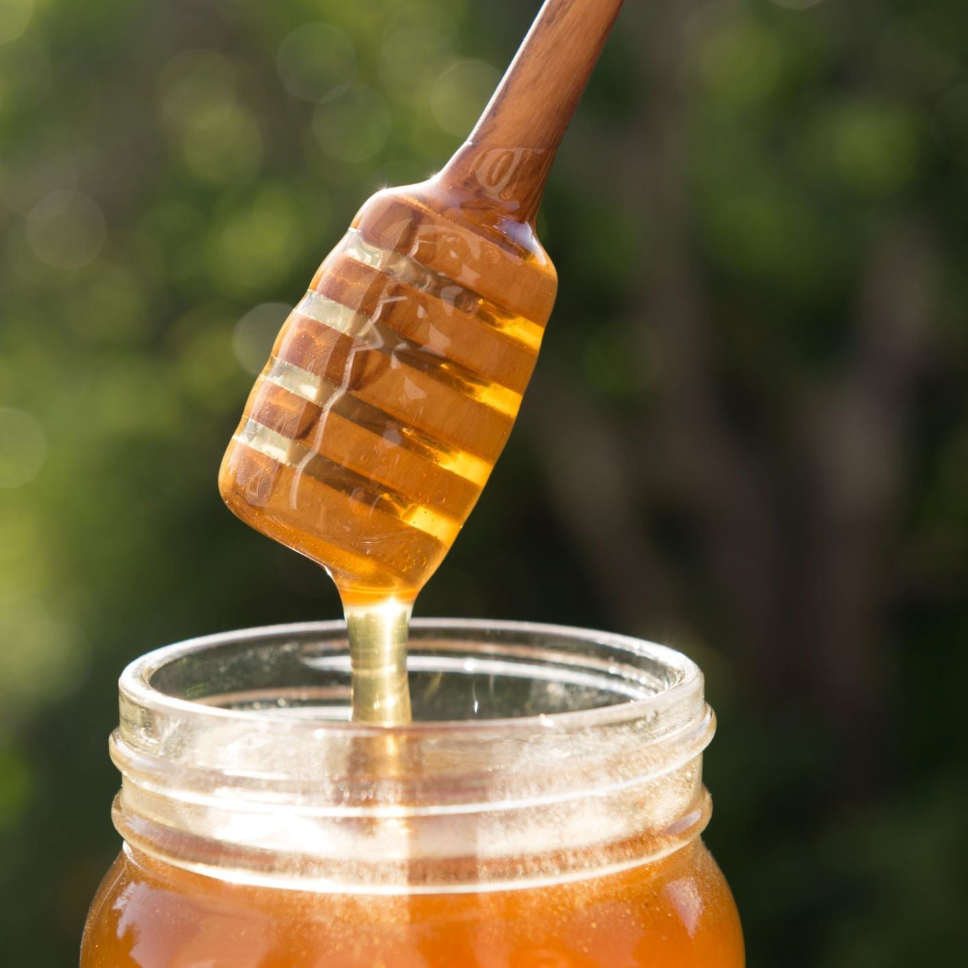 Olive Wood Honey Dip - Che Cose Belle