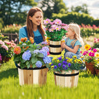 Outdoor Wooden Planter Box with Drainage Holes Set of 3 - Che Cose Belle
