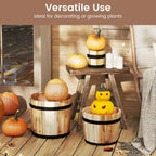 Outdoor Wooden Planter Box with Drainage Holes Set of 3 - Che Cose Belle