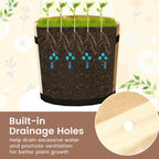 Outdoor Wooden Planter Box with Drainage Holes Set of 3 - Che Cose Belle