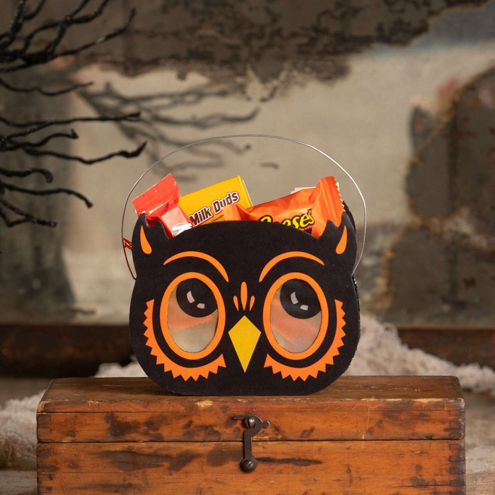 Owl Bucket Luminary | Halloween Decor | Bethany Lowe
