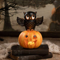 Owl on Jack O'Lantern | Halloween Decor | Bethany Lowe