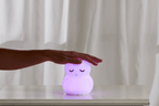 Owl Silicone Night Light - Che Cose Belle
