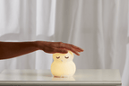 Owl Silicone Night Light - Che Cose Belle
