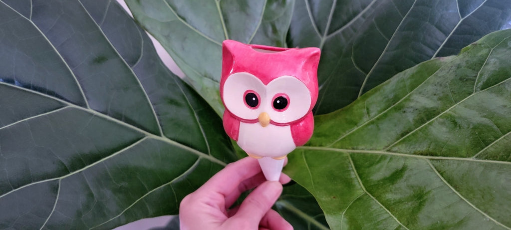 Owl Watering Spike - Che Cose Belle