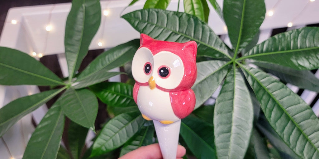 Owl Watering Spike - Che Cose Belle
