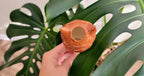 Owl Watering Spike - Che Cose Belle