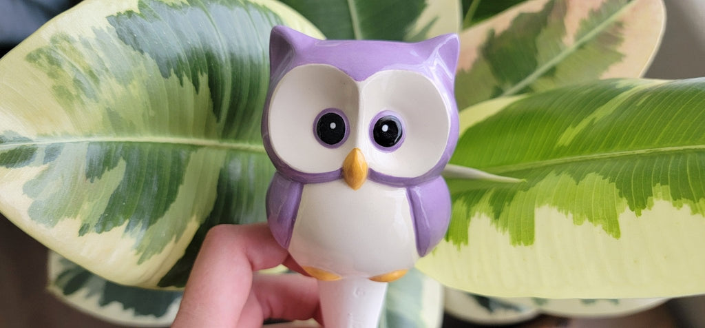Owl Watering Spike - Che Cose Belle