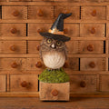Owlina Witch | Halloween Decor | Bethany Lowe