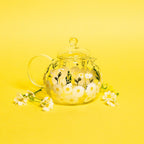 Painted Daisy Tea Pot - Che Cose Belle