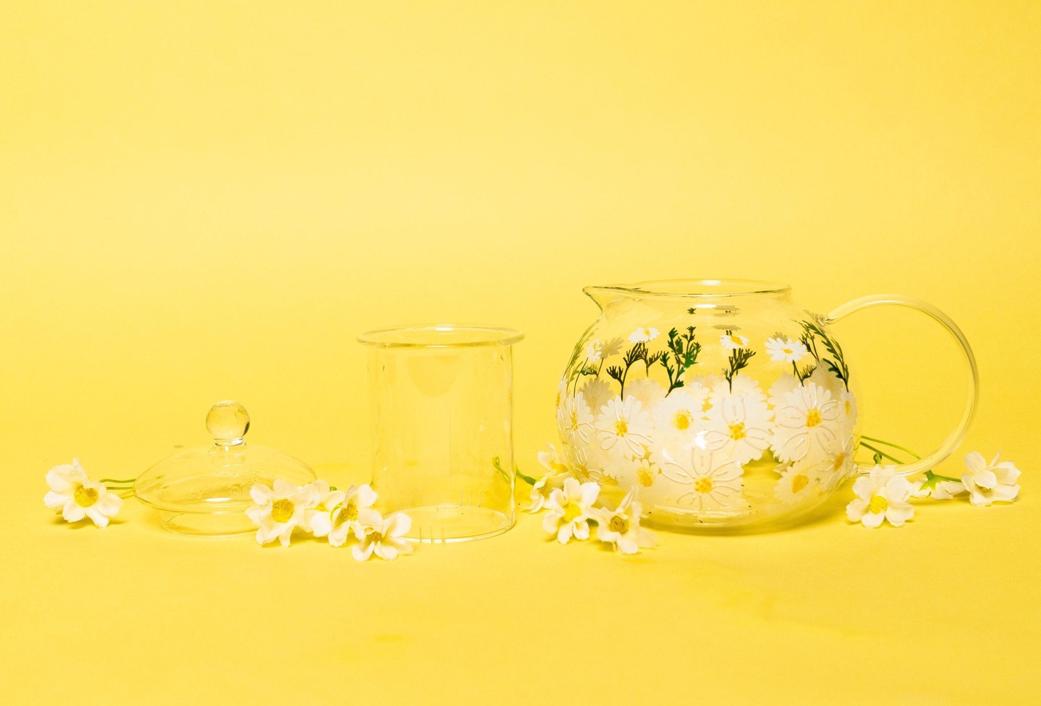 Painted Daisy Tea Pot - Che Cose Belle