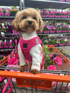 SoHo Dog Harness - Park Ave Pink