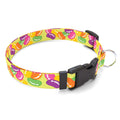 Personalized Jelly Beans Dog Collar - Che Cose Belle