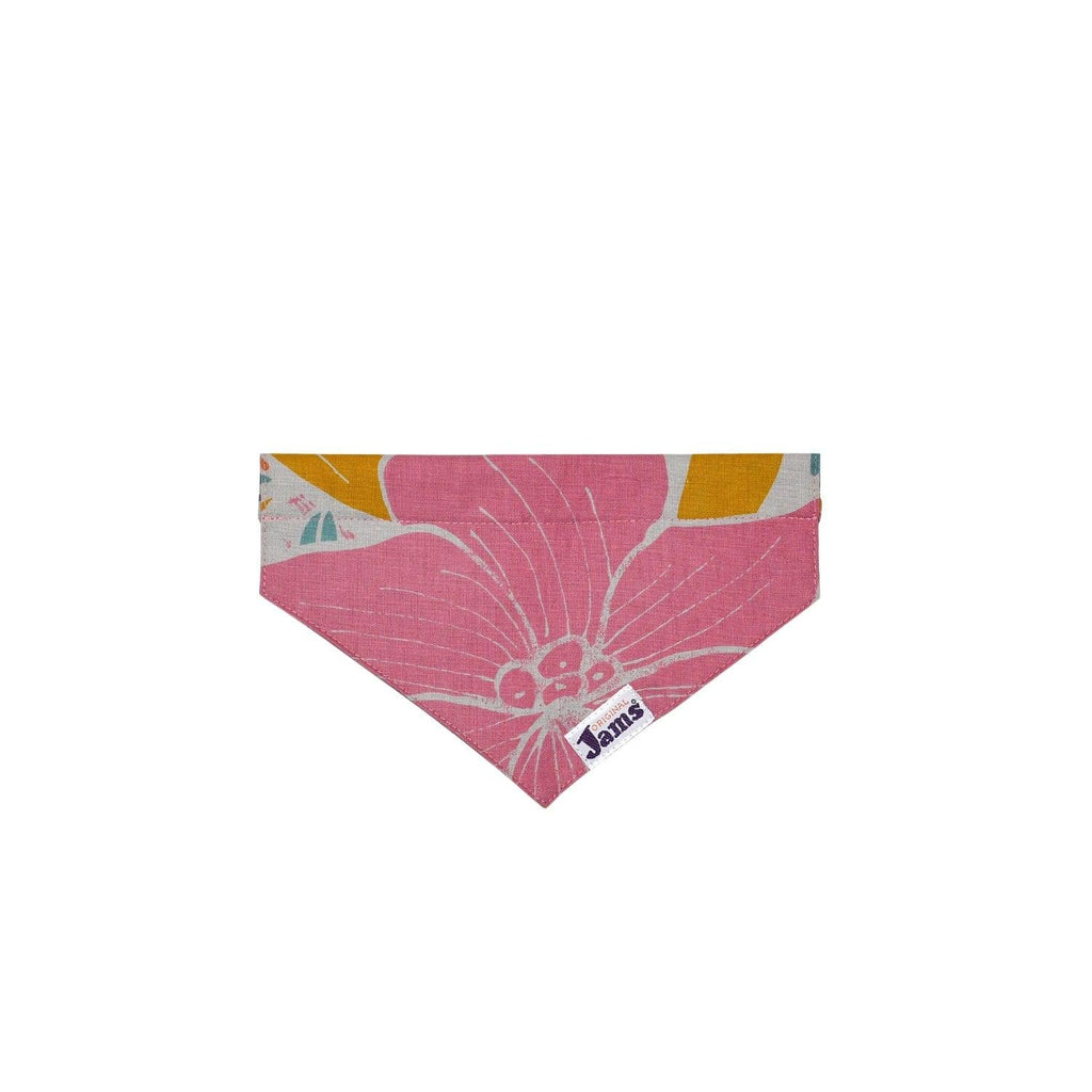Pet Collar Scarf - Jams Dwarfana Natural & Dragon Fly Orange - Che Cose Belle