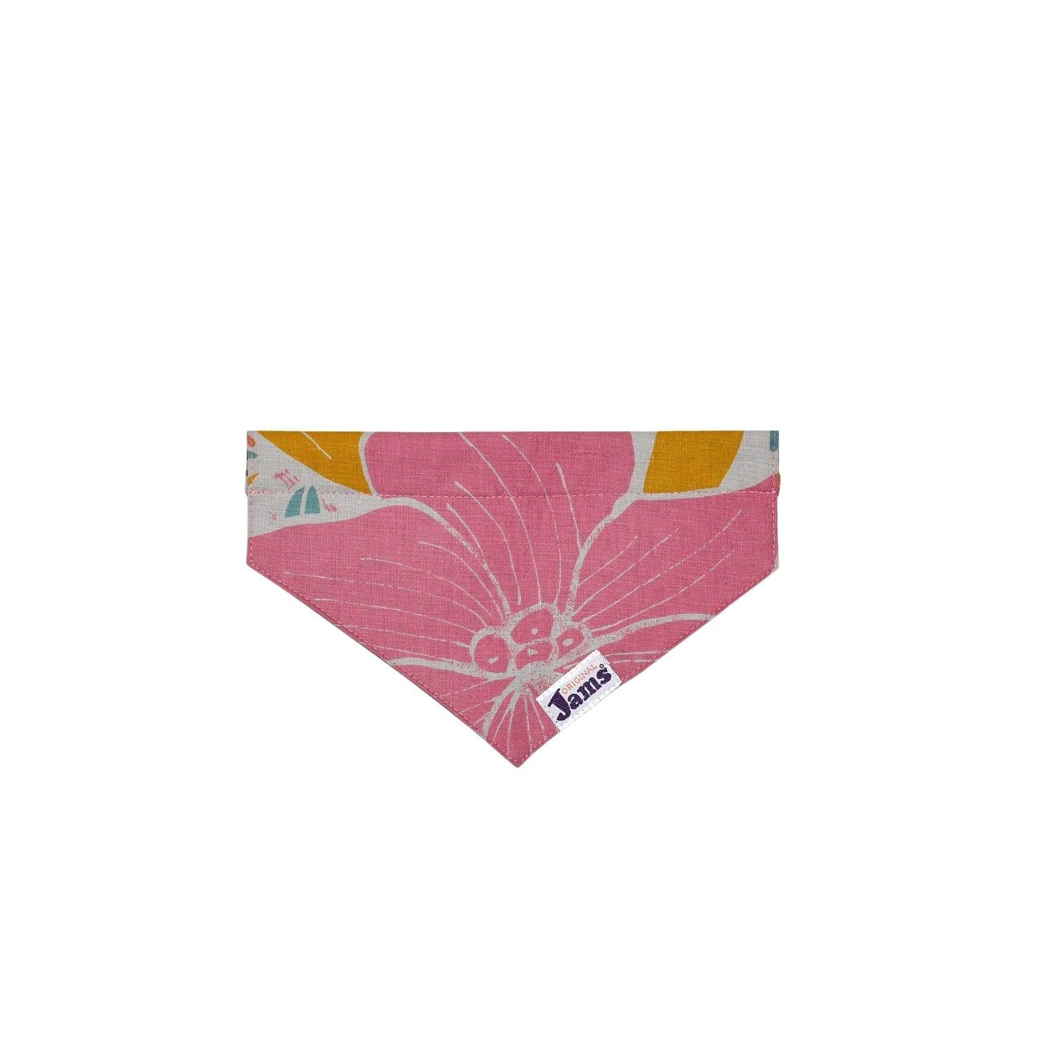 Pet Collar Scarf - Jams Dwarfana Natural & Dragon Fly Orange - Che Cose Belle