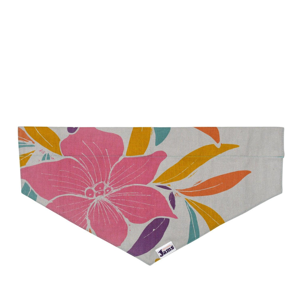 Pet Collar Scarf - Jams Dwarfana Natural & Dragon Fly Orange - Che Cose Belle
