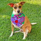 Pet Collar Scarf - Surf Line Hawaii Na Pua Flower - Che Cose Belle