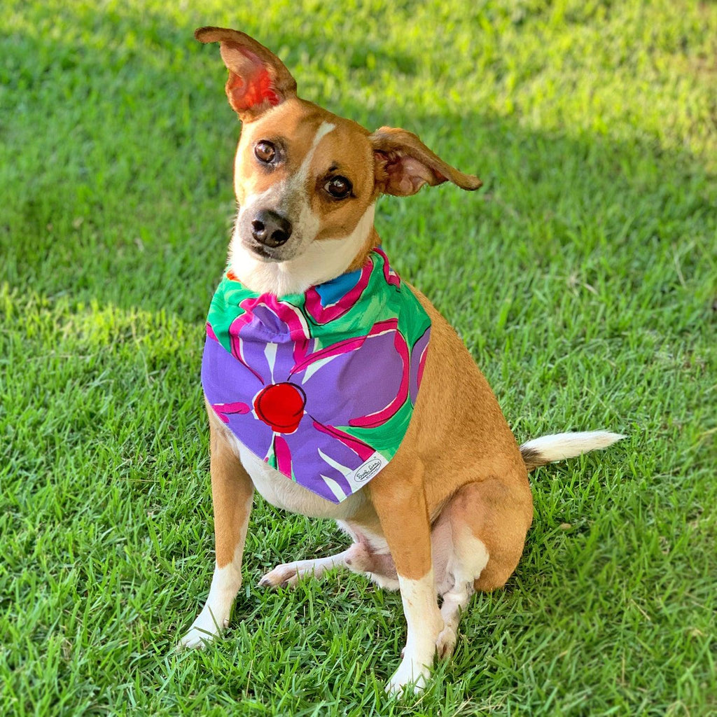 Pet Collar Scarf - Surf Line Hawaii Na Pua Flower - Che Cose Belle