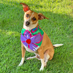 Pet Collar Scarf - Surf Line Hawaii Na Pua Flower - Che Cose Belle