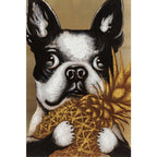 Picture Touched Dog with Pineapple 80x80cm - Che Cose Belle