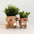 Pig Planter - Coco Coir Pots - Che Cose Belle