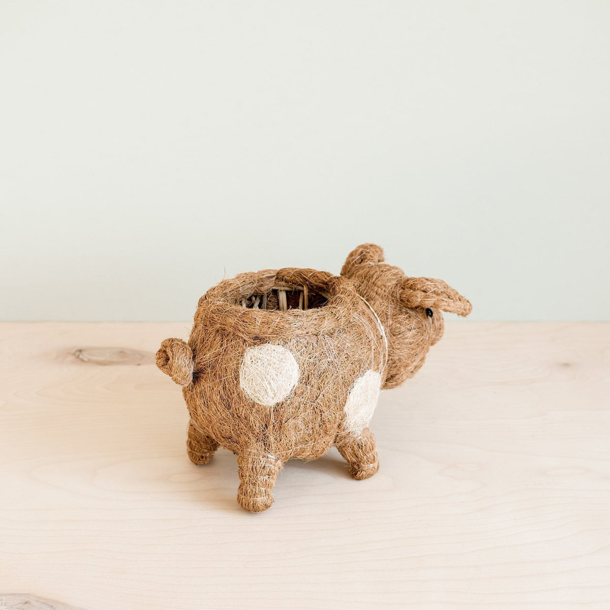 Pig Planter - Coco Coir Pots - Che Cose Belle