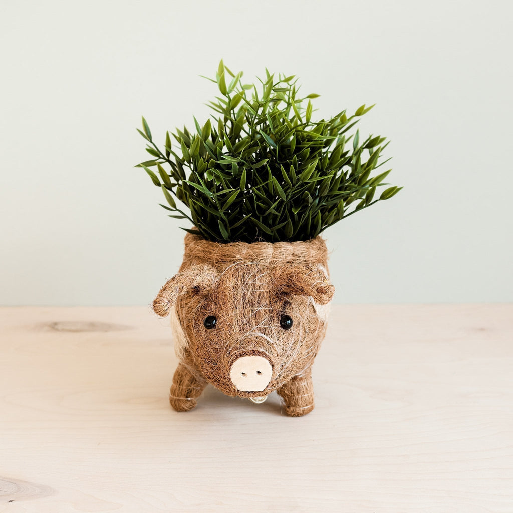 Pig Planter - Coco Coir Pots - Che Cose Belle