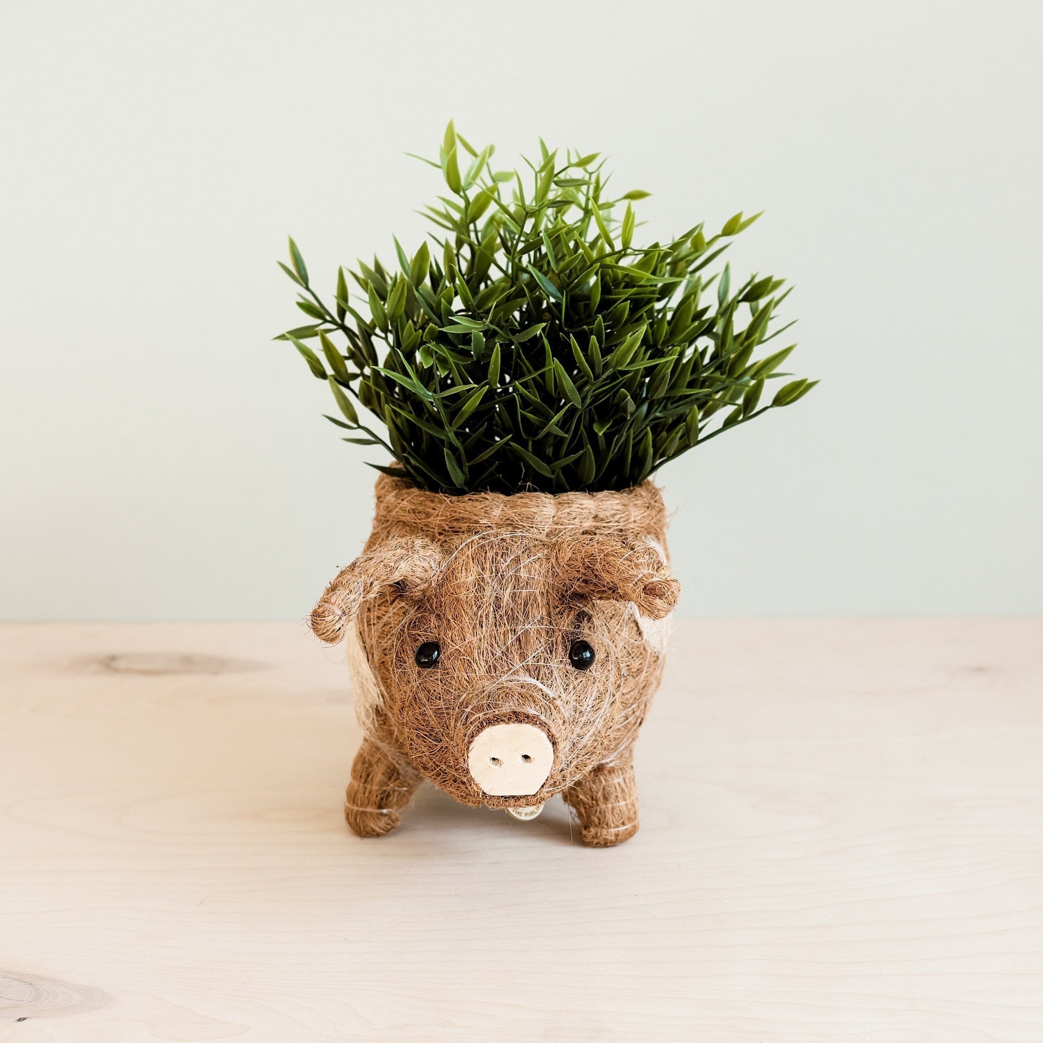 Pig Planter - Coco Coir Pots - Che Cose Belle