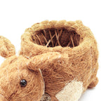 Pig Planter - Coco Coir Pots - Che Cose Belle