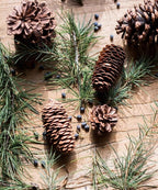 Pine Cone Decoration - Che Cose Belle