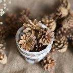 Pine Cone Decoration - Che Cose Belle