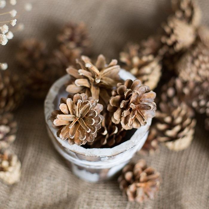 Pine Cone Decoration - Che Cose Belle