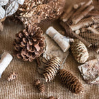Pine Cone Decoration - Che Cose Belle