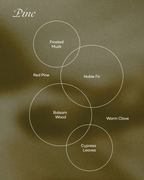 PINE — NOBLE FIR & BALSAM WOOD - Che Cose Belle