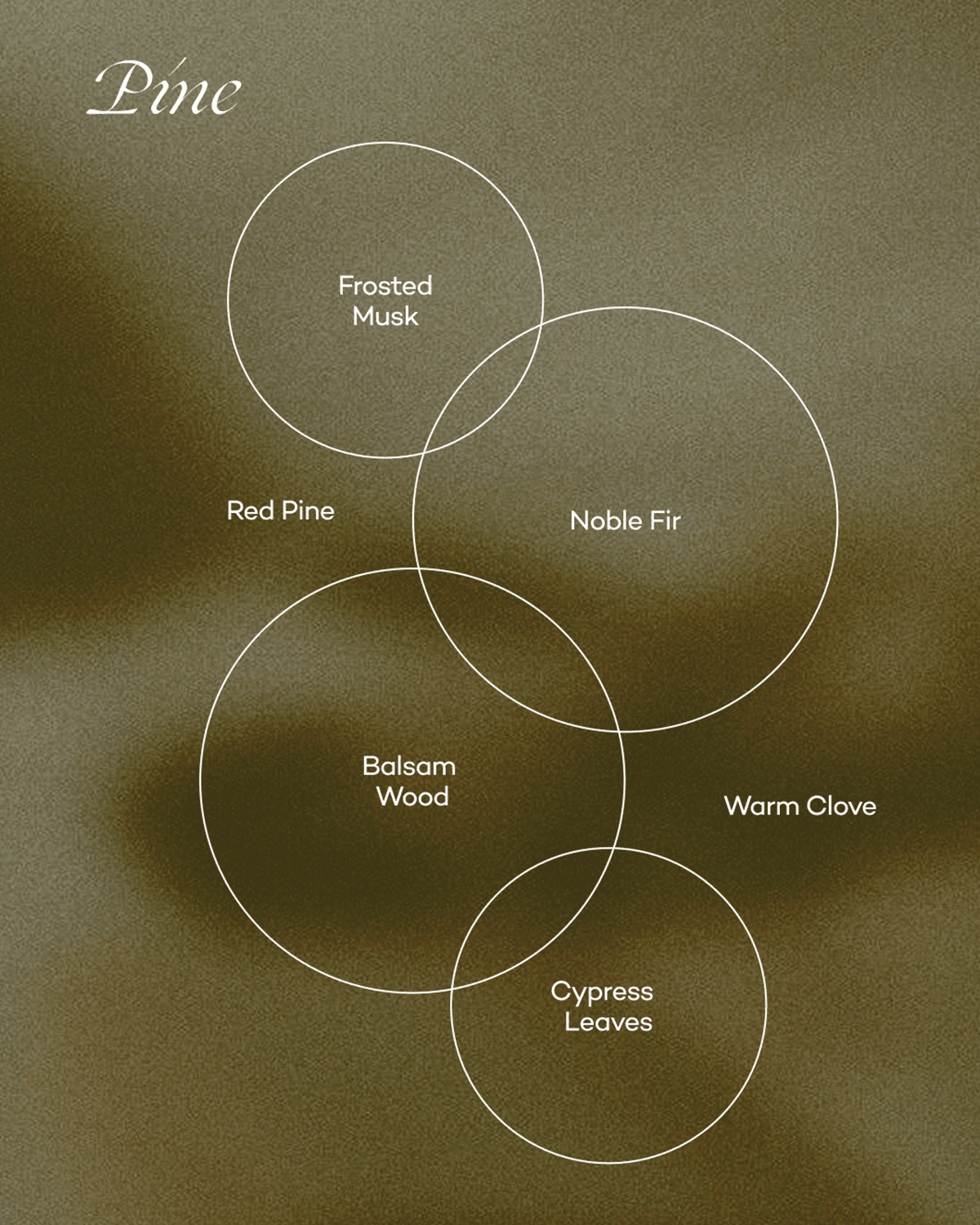 PINE — NOBLE FIR & BALSAM WOOD - Che Cose Belle
