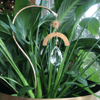 Planty Suncatcher Stick- Solara - Che Cose Belle