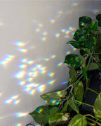Planty Suncatcher Stick- Trinity - Che Cose Belle