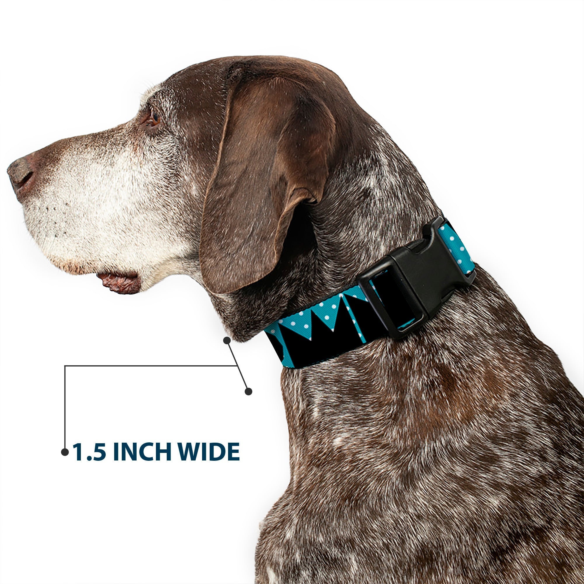 Plastic Clip Collar - BUCKLE - DOWN Shapes Dot Turquoise/White/Black - Che Cose Belle