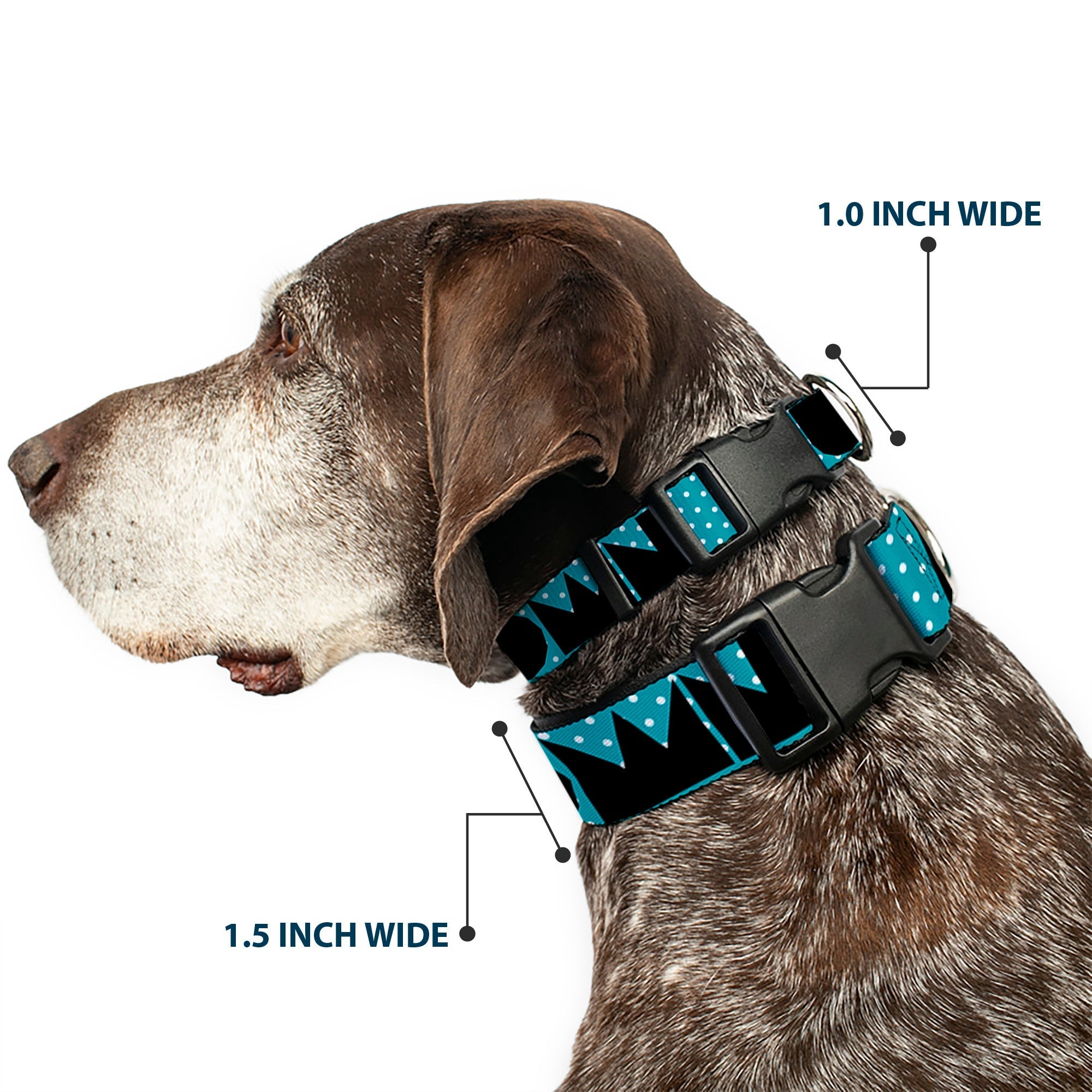 Plastic Clip Collar - BUCKLE - DOWN Shapes Dot Turquoise/White/Black - Che Cose Belle