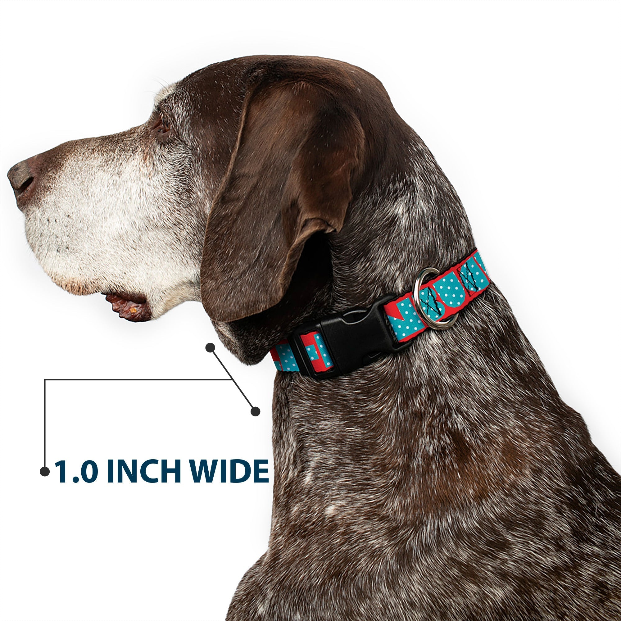 Plastic Clip Collar - BUCKLE - DOWN Shapes Red/Dot Turquoise/White - Che Cose Belle