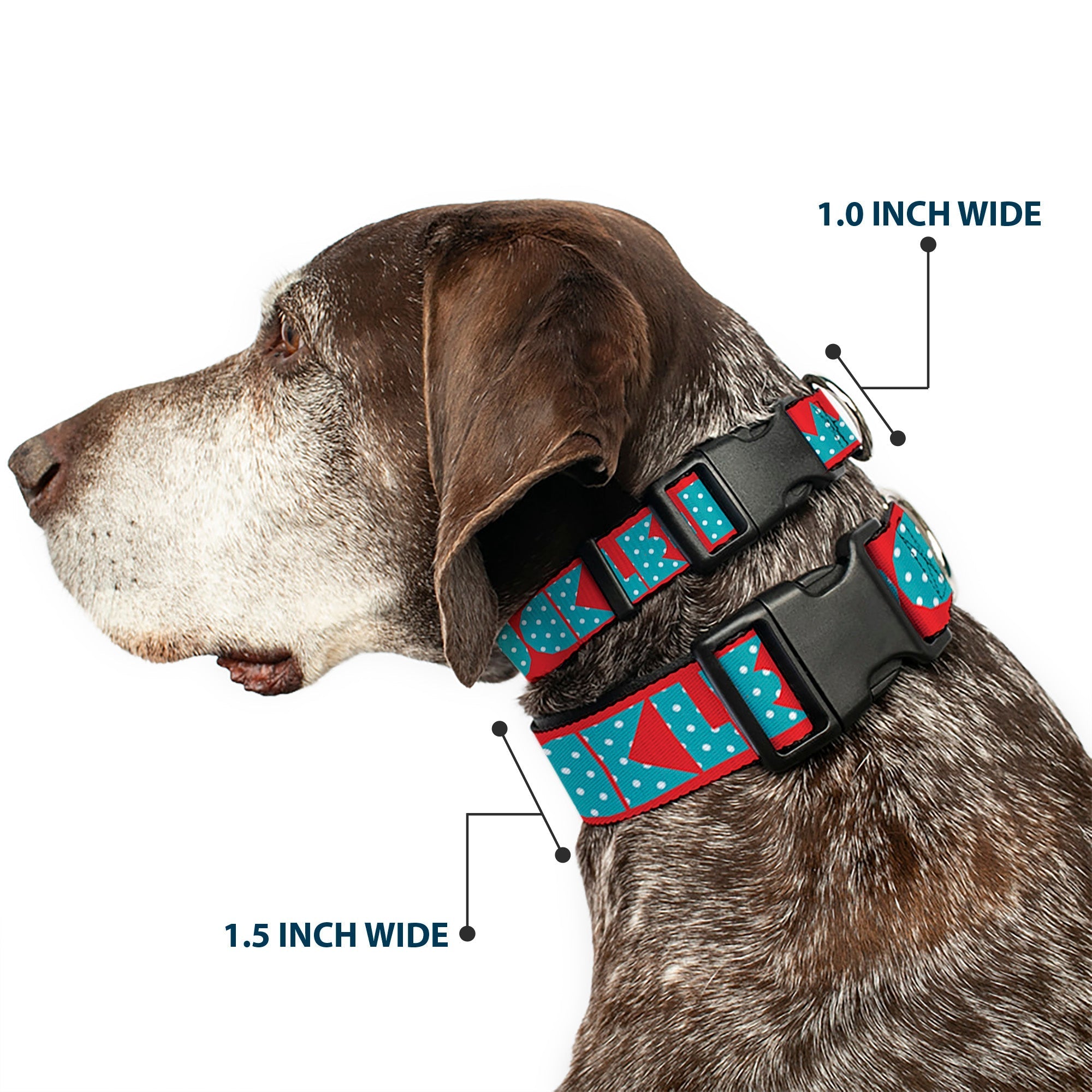 Plastic Clip Collar - BUCKLE - DOWN Shapes Red/Dot Turquoise/White - Che Cose Belle