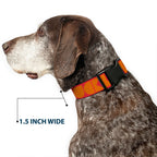 Plastic Clip Collar - BUCKLE - DOWN Shapes Red/Orange - Che Cose Belle