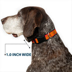 Plastic Clip Collar - BUCKLE - DOWN Shapes Red/Orange - Che Cose Belle