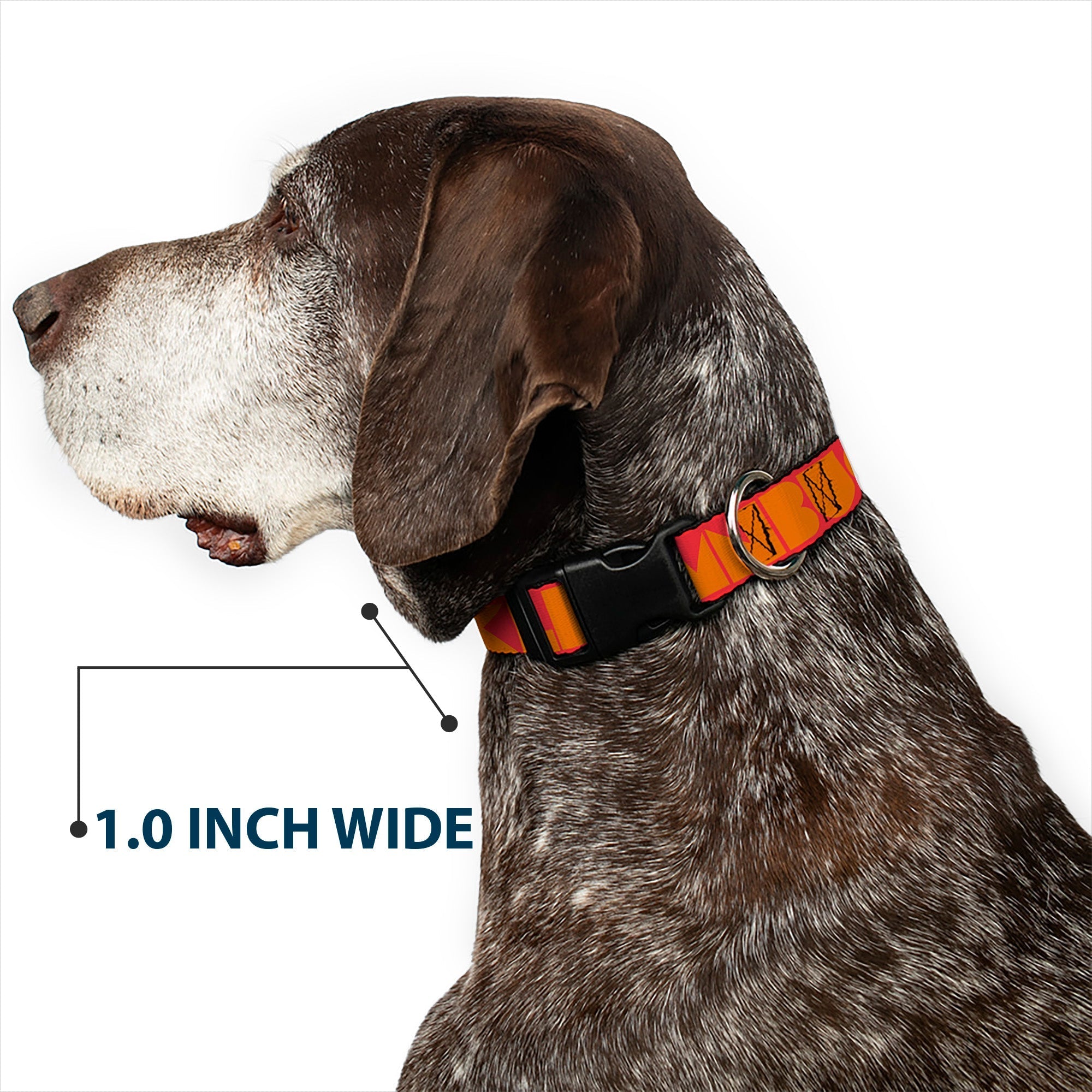 Plastic Clip Collar - BUCKLE - DOWN Shapes Red/Orange - Che Cose Belle