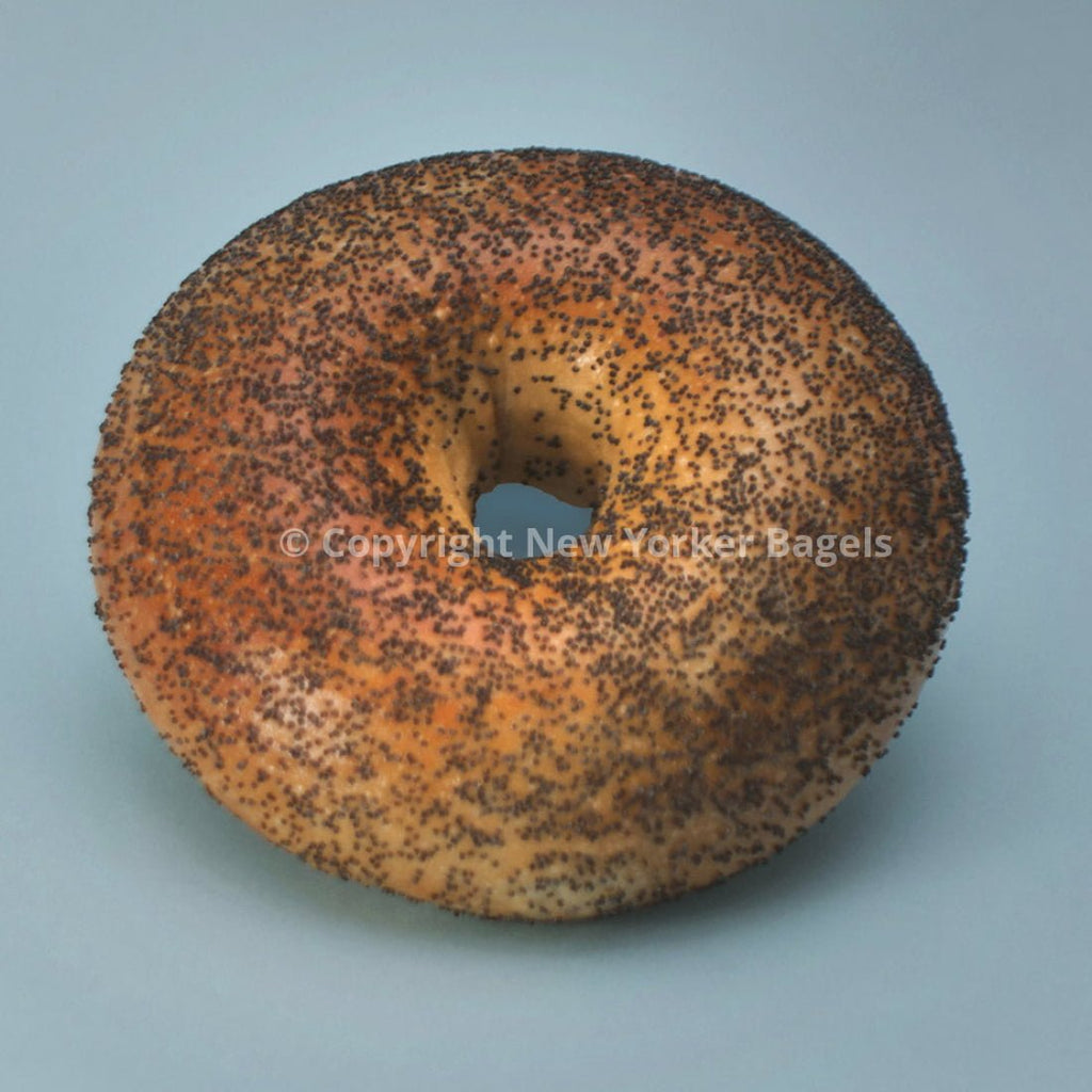 Poppy Bagels - 2 Dozen - Che Cose Belle