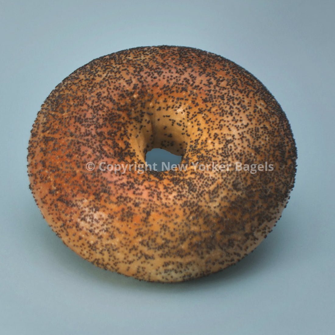 Poppy Bagels - 2 Dozen - Che Cose Belle