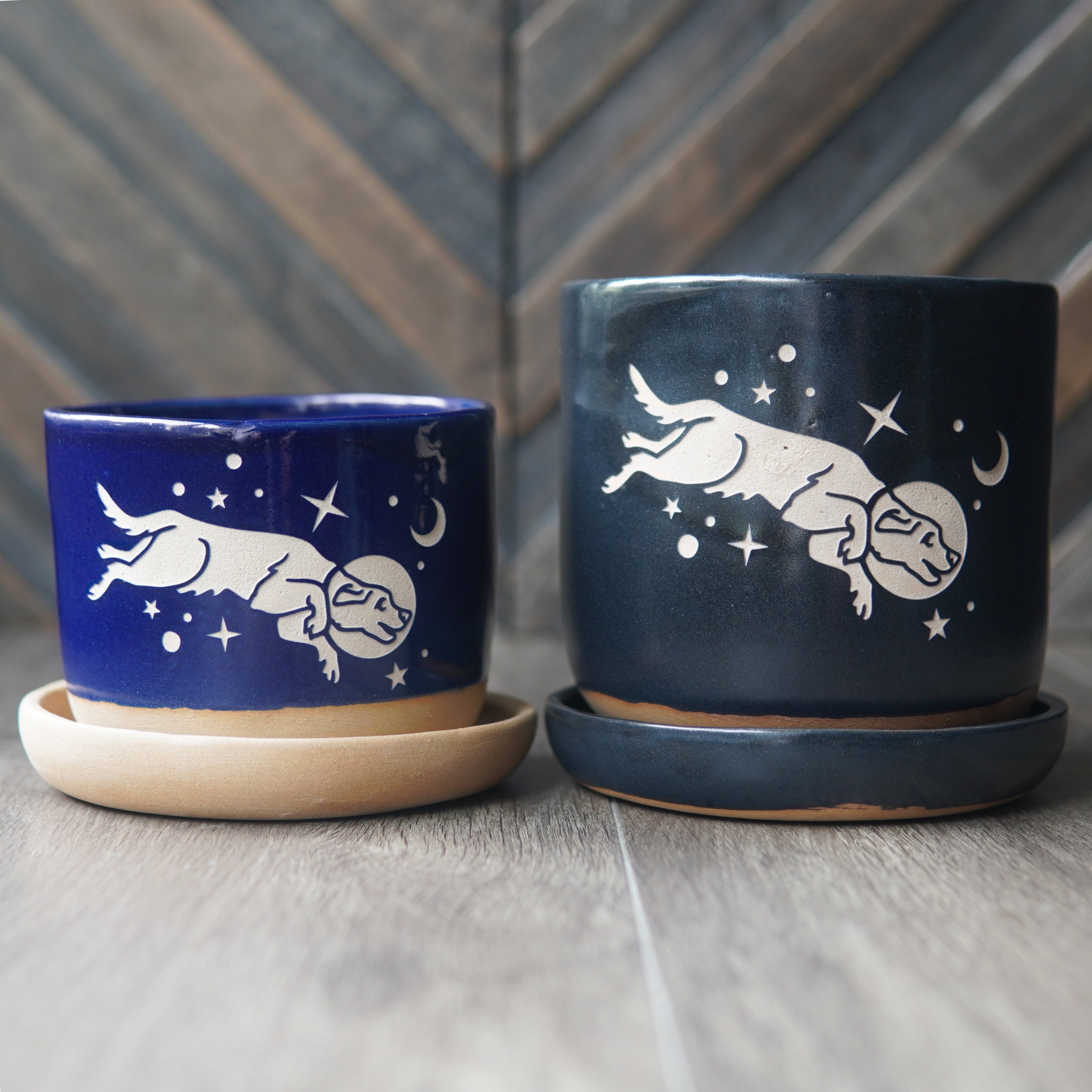 Space Dog Farmhouse Planter with Saucer