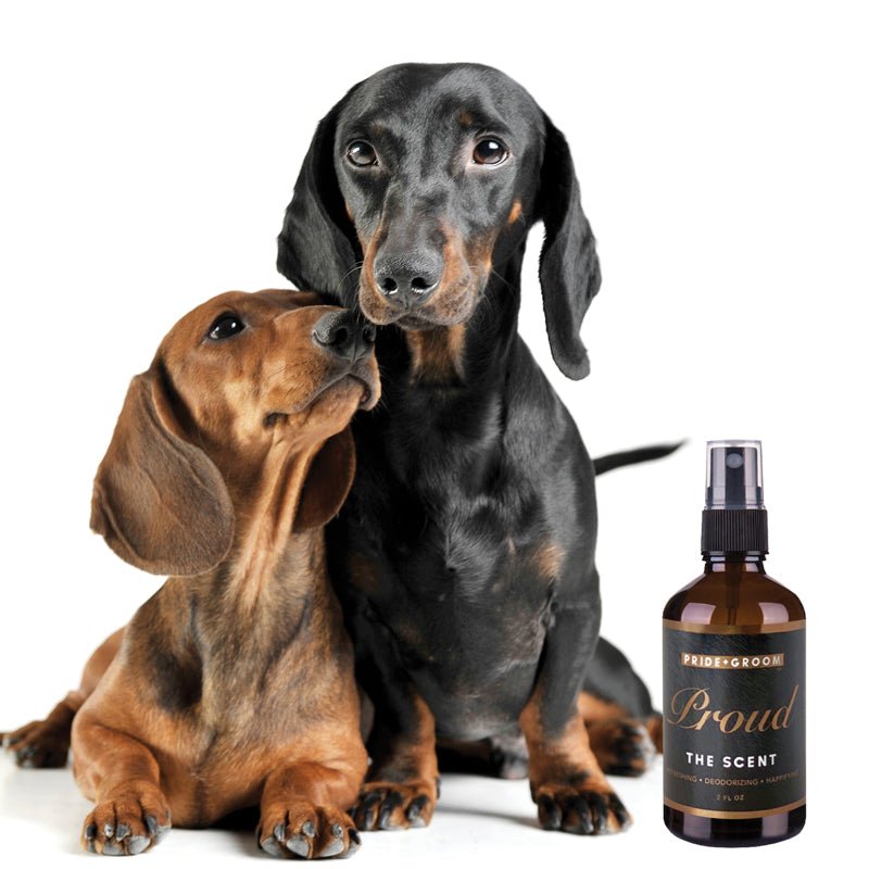 PROUD Dog & Cat Perfume Spray — Natural Deodorizing Pet Cologne with Bergamot & Citrus - Che Cose Belle