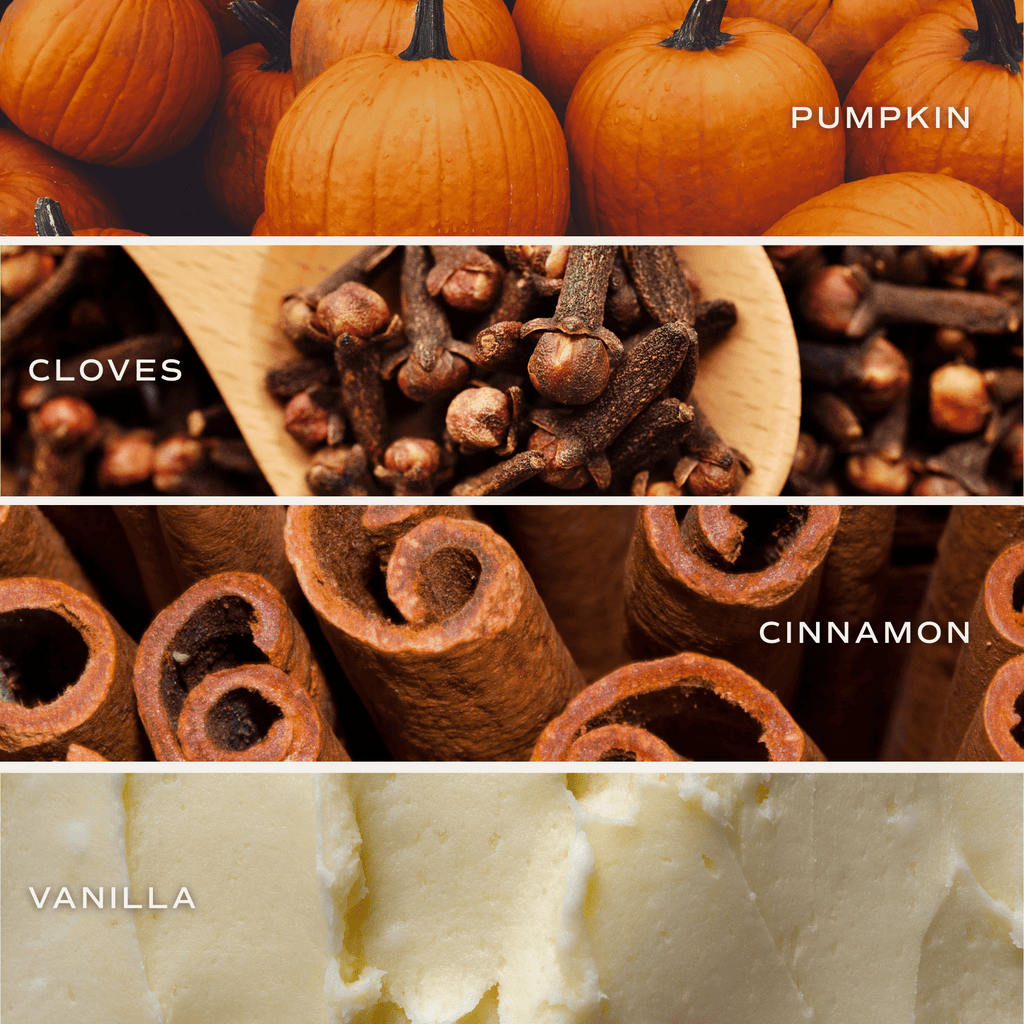 Pumpkin Spice Soy Candle - Ceramic Pumpkin Jar - 8 oz - Che Cose Belle